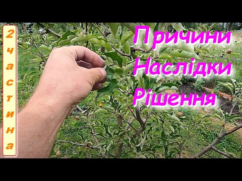 Видео: Про молоді плодові дерева які погано розвиваються або не ростуть Частина 2