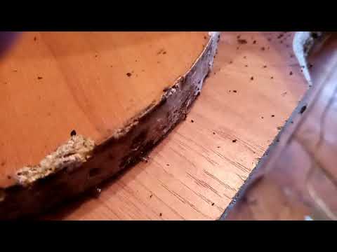 Видео: Пчеловодство.Пергамёт-более подробно,по просьбе  ........