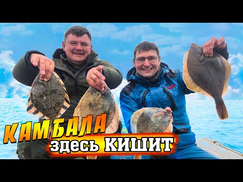 Видео: Сахалин. Миллионы камбалы выдирают спиннинг из рук.