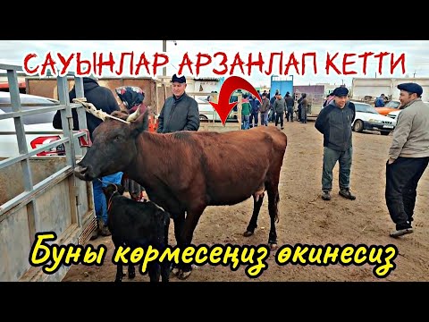 Видео: 10-Ноябр 2024 Шымбайдың мал базарындағы, Ат базарындағы қызғын сауданы көрмесеңиз болмайды