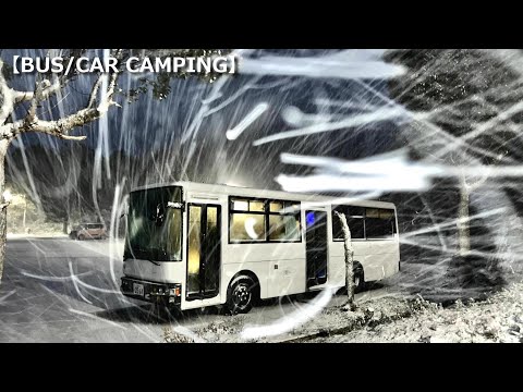 Видео: Автобус замерзает и практически оказывается в ловушке из-за сильной волны холода.