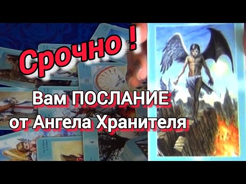 Видео: ТВОЙ👼🙏 АНГЕЛ-ХРАНИТЕЛЬ ПРЕДУПРЕЖДАЕТ... ЭТО ДОЛЖЕН УВИДЕТЬ КАЖДЫЙ❗🍀🍁AHHA Tarot Гадание Таро Онлайн