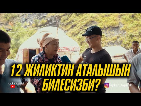 Видео: Тапкан Тапалак//Кара-Шоро жайлоосу// 12 жиликтин аталышын билесизби?
