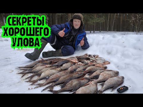 Видео: ЛУЧШАЯ РЫБАЛКА в сезоне fishing 2022!!! 2-ая часть.