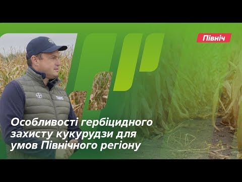 Видео: Особливості гербіцидного захисту кукурудзи для умов Північного регіону // Досвід. АгроАрена Північ