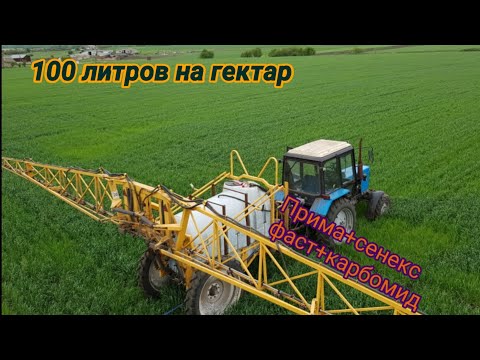 Видео: МТЗ-82 опрыскивание озимой пшеницы. Прима, фаст, сенекс!
