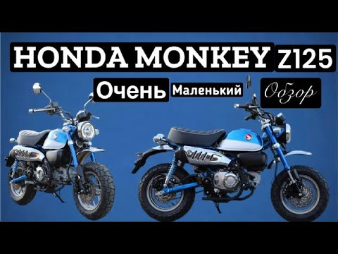 Видео: HONDA MONKEY Z125 Краткий обзор