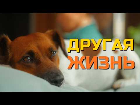 Видео: Любовь без границ = тревога: мой опыт