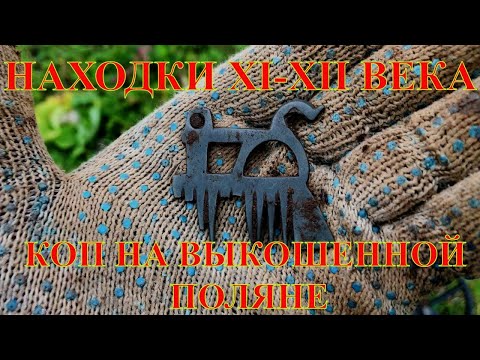 Видео: Находки XI-XII века. Коп монет. Поиск с металлоискателем. В поисках старины.