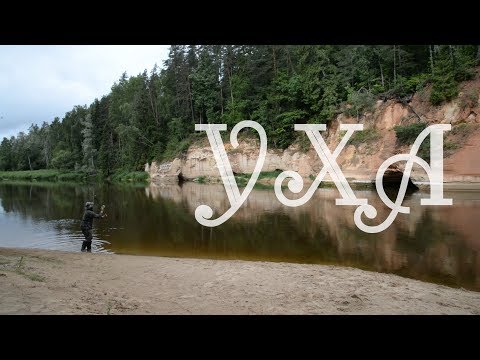 Видео: Уха походная, чертовски простая и невероятно полезная!