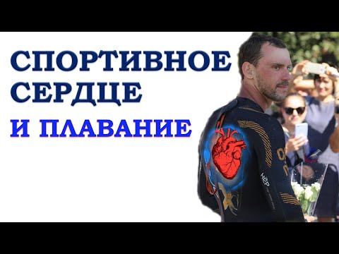 Видео: Спортивное сердце в плавании| Как тренироваться не надо