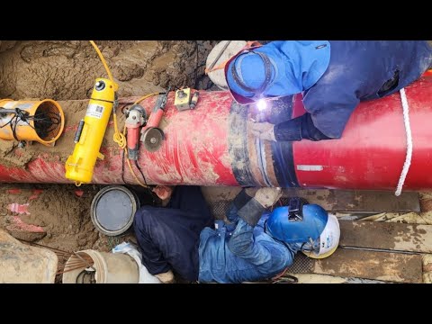 Видео: Сколько бы вам заплатили за эту работу: 200 или 500?