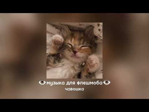 Видео: 😺музыка для флешмоба!😺🔥