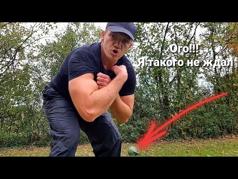 Видео: Сделай Эту Тренировку (СО МНОЙ!) и Качалка Больше НЕ НУЖНА!