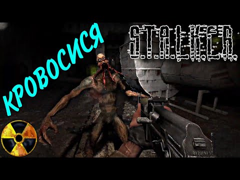 Видео: Сталкер: Тень Чернобыля | S.T.A.L.K.E.R.: Shadow of Chernobyl - ПОИСКИ ПУХИ ПРОДОЛЖАЮТСЯ #9 [Мастер]