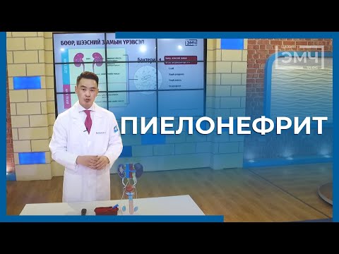 Видео: 225 - Пиелонефрит / Цахим Эмч