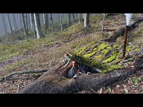 Видео: Строительство секретного убежища внутри большого дерева - Bushcraft SURVIVAL Camping in the Rain