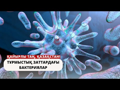 Видео: ТҰРМЫСТЫҚ ЗАТТАРДАҒЫ БАКТЕРИЯЛАР