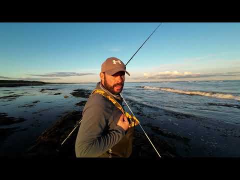 Видео: В погоне за треской в ​​Нортумберленде