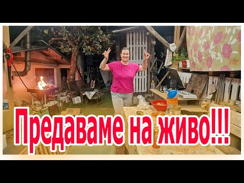 Видео: да вечеряме заедно на лайф ТУЙ ТО