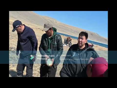 Видео: Хөх нуурын жимээр