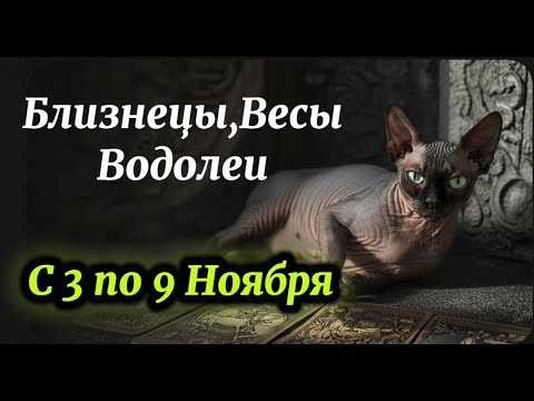 Видео: Близнецы, Весы, Водолей: неделя 3 - 9 ноября 2025! Откроет путь к новым связям и финансовому успеху!