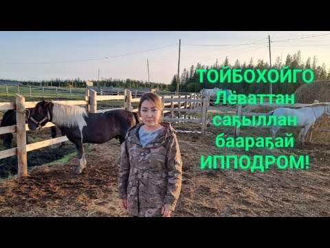 Видео: Биир ат көмүөлү хамсаппыт... Тойбохойго ИППОДРОМ, сынньанар түһүлгэ тутулунна - 2023 #ипподром