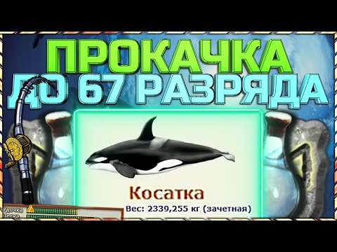 Видео: РР3 ПРОКАЧКА ОПЫТА НОВИЧКАМ ОТ 49 ДО 67 РАЗРЯДА