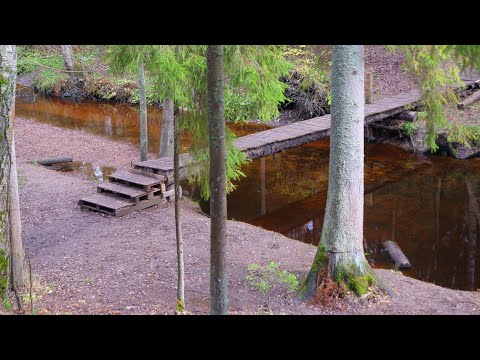 Видео: Ломоносов, речка Караста.