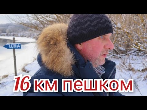 Видео: ПЕШАЯ ПРОГУЛКА К РЕКЕ ЦНА,8 КМ В ОДИН КОНЕЦ. #река #цна