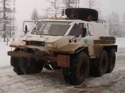 Видео: А ты знаешь какие у нас..........