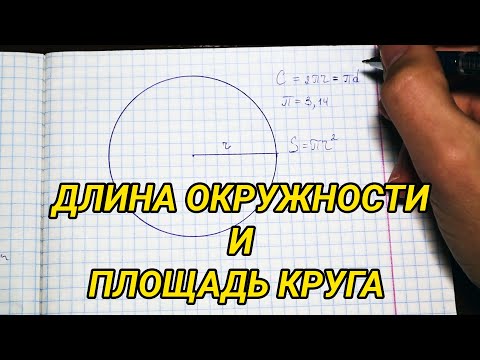 Видео: Длина окружности. Площадь круга - математика 6 класс