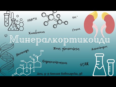 Видео: Минералкортикоиди/ Mineralcorticoids