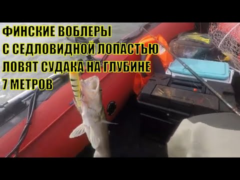 Видео: ТРОЛЛИНГ СУДАКА. Новинки 2023 с седловидной лопастью работают на 5-ть.