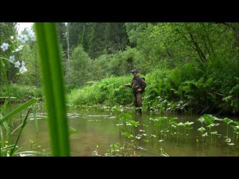 Видео: Рыбалка нахлыстом на ручьях