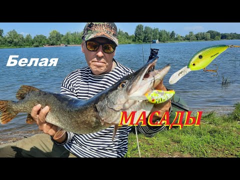 Видео: Один на рыбалке в Масадах. Река Белая.