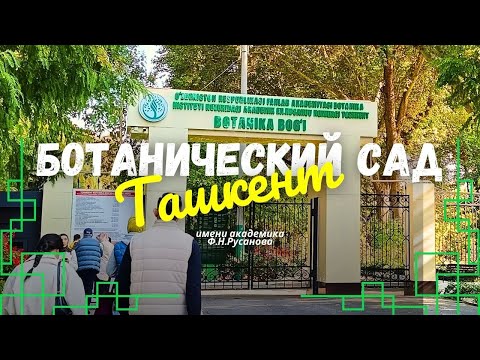 Видео: Ташкент. Ботанический сад.