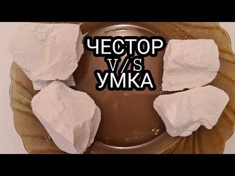 Видео: ПРЯМОЙ ЭФИР (5) LIVE