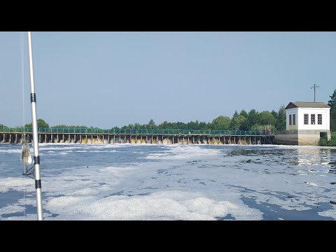 Видео: Река Припять. Беларуская Амазонка. Платина Стахово.