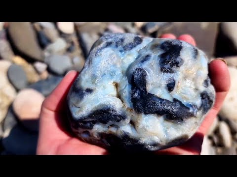 Видео: В поисках сокровищ на гравийной отмели после шторма #yellowstoneriver #rockhounding
