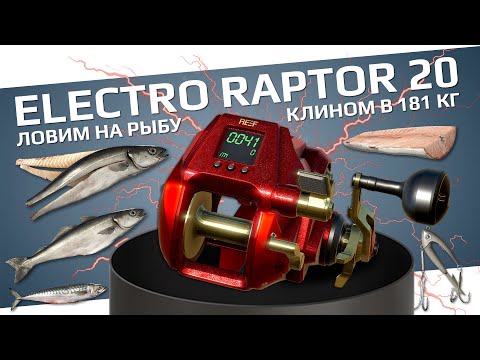 Видео: РУССКАЯ РЫБАЛКА 4 - Electro Raptor 20 в клине при ловле на рыбу / Норвежское море / Стрим