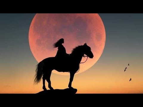 Видео: ЛОШАДЬ ЛУНЫ В ПЕРЕХОДЕ НА САМАЙН🐎🎃