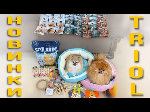 Видео: Большая РАСПАКОВКА для ВСЕХ моих ПИТОМЦЕВ  🦮 🐈‍⬛ 🦜 TRIOL