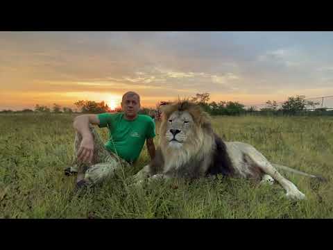 Видео: ЕСЛИ ВЕРНУТЬ ВСЁ НАЗАД?  Построил бы я Парк Львов снова или нет?