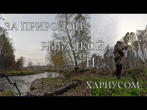 Видео: Осенняя рыбалка на малой речке.Хариузок и осенние красоты.[4K]
