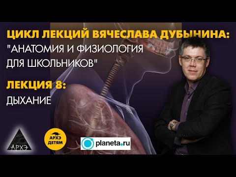 Видео: Вячеслав Дубынин: Дыхание" (Лекция 8)