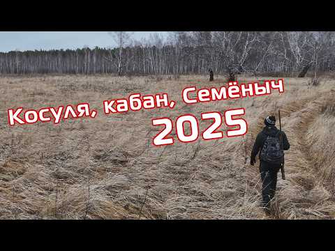 Видео: охота открылись кабан и косуля курган 2025 лучшее