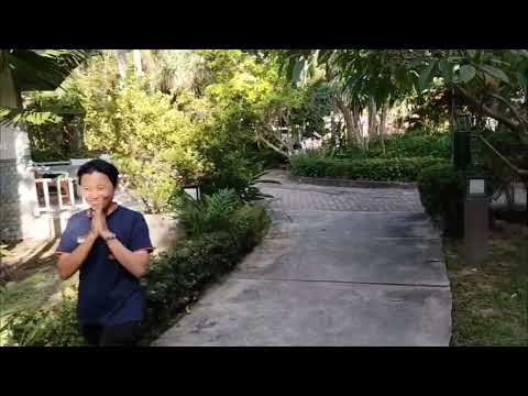 Видео: Green park resort Pattaya, Thailand. Отель 3*  в ноябре 2024 года. Superior Garden View