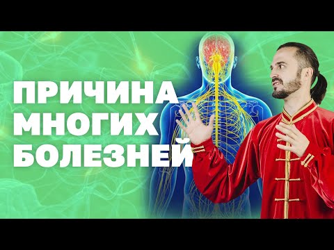 Видео: Нарушение работы нервной системы! Упражнение от всех болезней! Одна причина многих болезней!