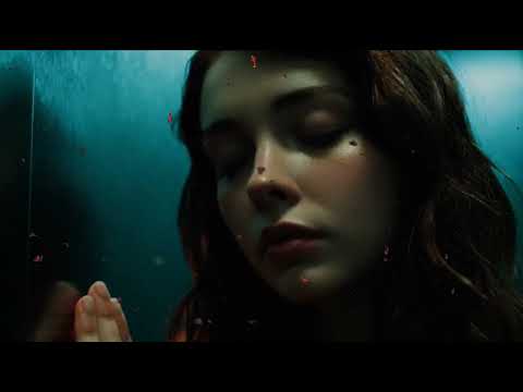 Видео: Одинаковые лица